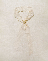 Beige Lace Hair Belt | Rihoas